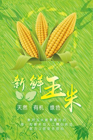 玉米海报1