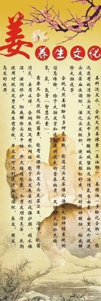 姜养生文化图片cdr矢量模版下载