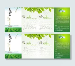 茶叶折页图片