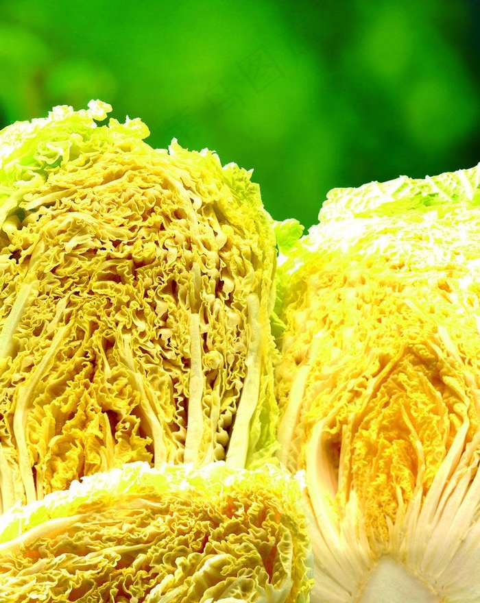 大白菜图片