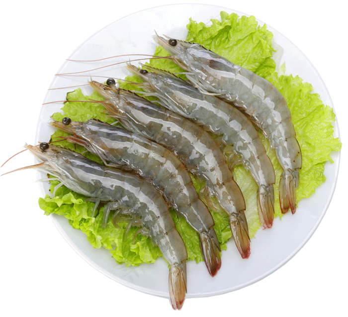 海鲜虾食物PNG免扣素材