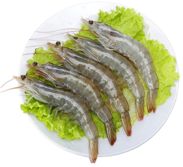 海鲜虾食物PNG免扣素材(1200X5975(DPI:299))psd模版下载