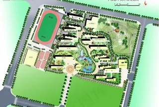 学校绿化彩色平面效果图图片