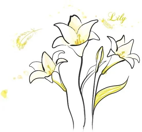 百合花ai矢量模版下载