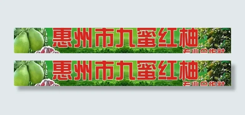 柚子招牌图片cdr矢量模版下载