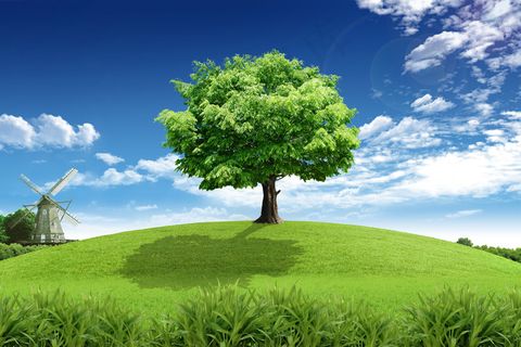 绿色生态宣传图片图片