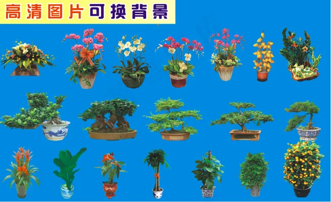 植物高清图片(210X297)cdr矢量模版下载