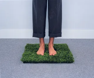 踩在草地上的双脚图片