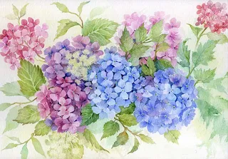 非矢量 PSD 写意花卉 免费素材