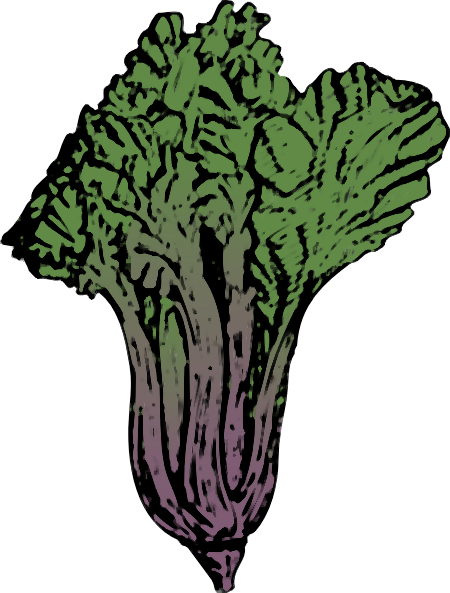 瑞士甜菜剪贴画