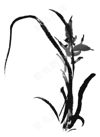 写意兰花