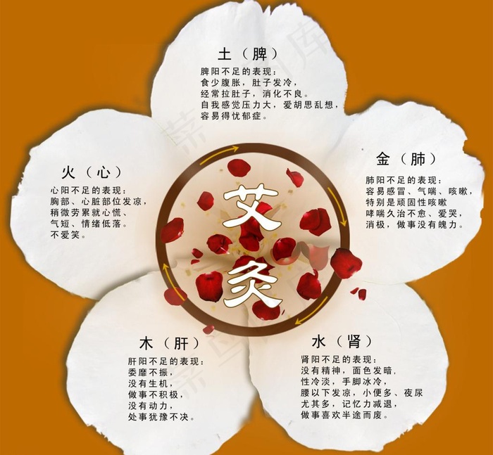 艾灸图片
