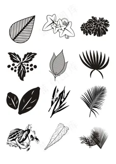 植物花卉简笔画