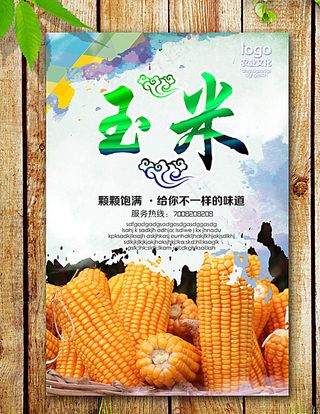玉米海报图片