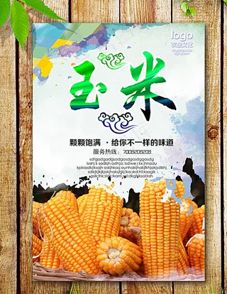 玉米海报图片