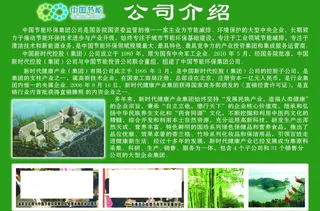 国珍公司介绍图片