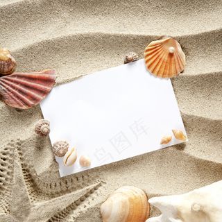 沙滩海星贝壳图片