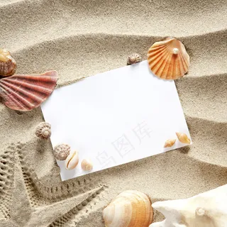 沙滩海星贝壳图片