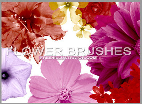 Photoshop花卉笔刷psd素...