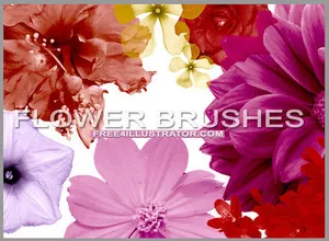 Photoshop花卉笔刷psd素...