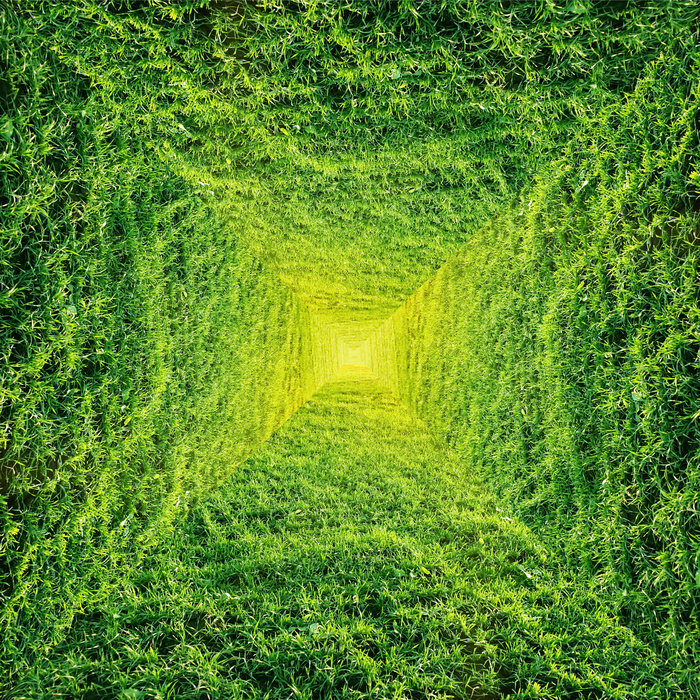 立体纵深草地3D地板(9638X9638(DPI:72))psd模版下载