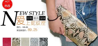 欧美风蛇纹女包海报图片