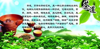 茶道图片