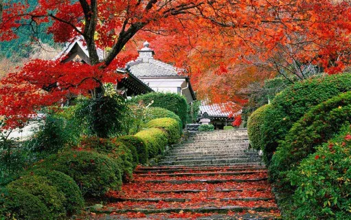 高清电脑桌面背景壁纸 高清电脑桌面背景壁纸