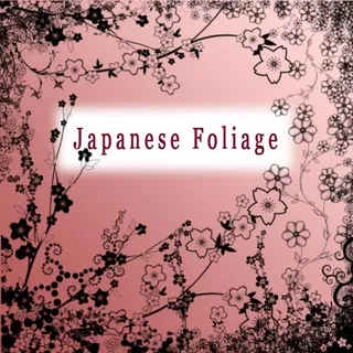 一组花叶、星光Photoshop笔...