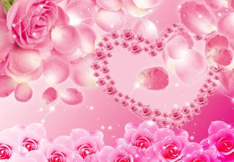 玫瑰花瓣图片 玫瑰花瓣图片