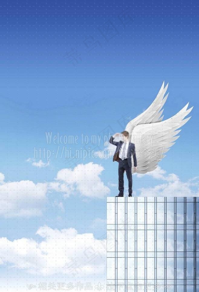 翅膀图片