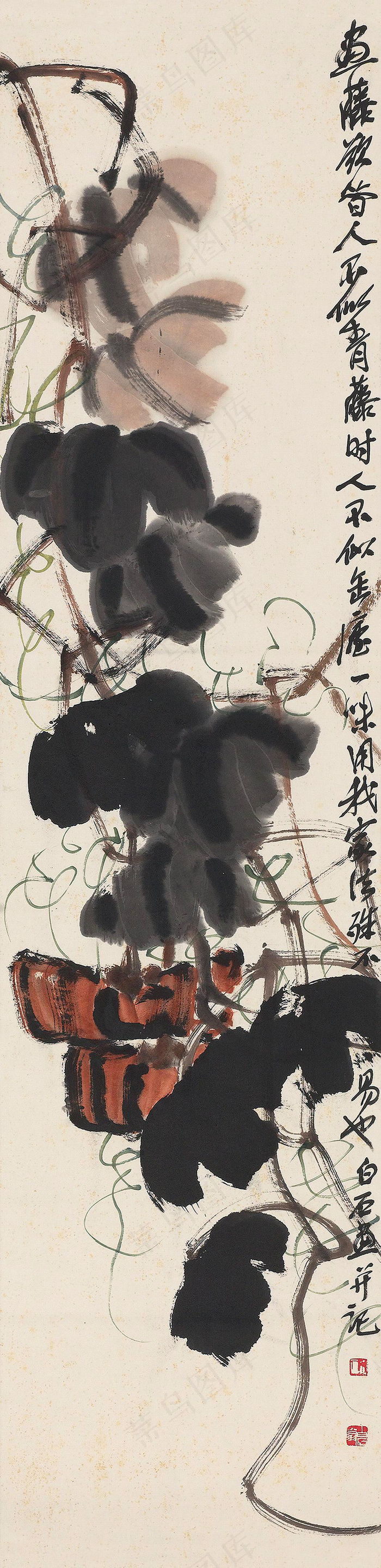 南瓜图片