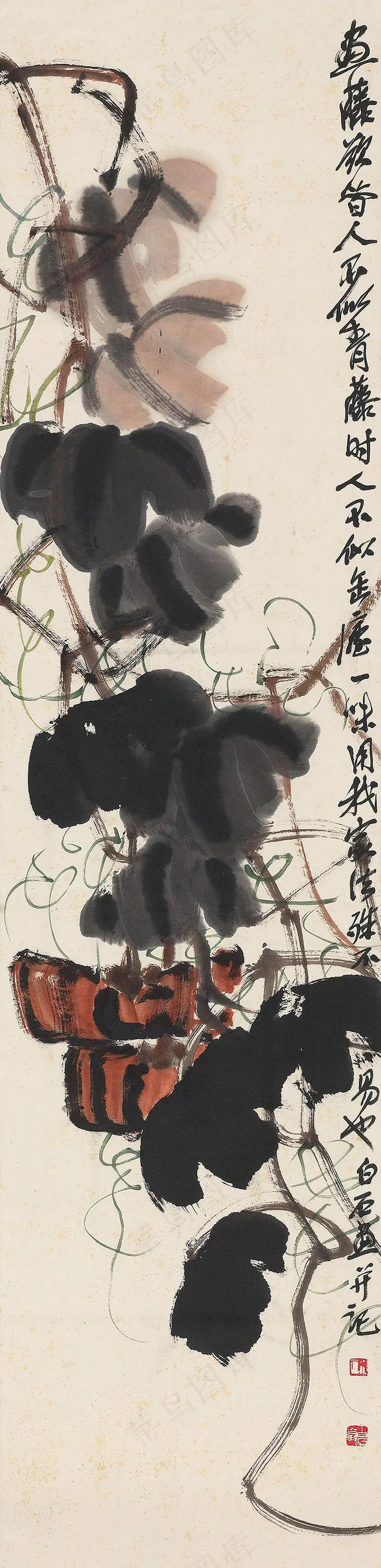 南瓜图片