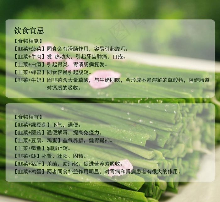 韭菜饮食宜忌图片psd模版下载