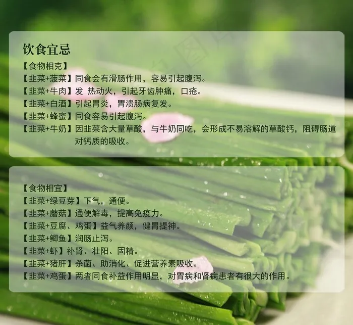 韭菜饮食宜忌图片psd模版下载