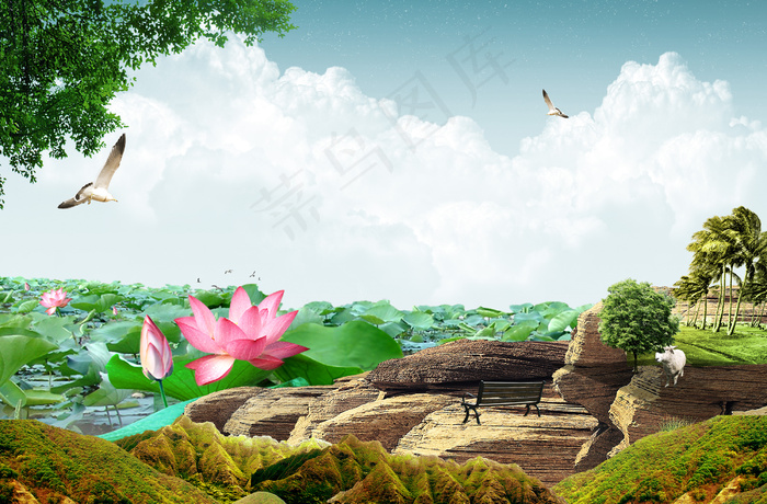 蓝天白云下的荷花池美景
