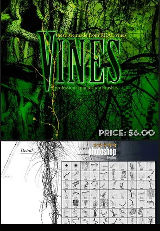 藤蔓枝条笔刷树藤笔刷树枝笔刷下载