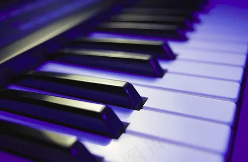 钢琴键图片