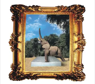 大象相框图片
