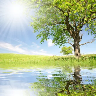 美丽春天风景 美丽春天风景