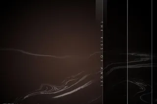 深情密码系列婚纱相册模板美丽夏天黑...