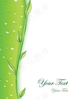 绿色底纹 树叶 水滴图片