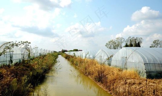 农业 大棚图片