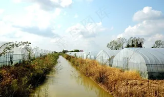 农业 大棚图片
