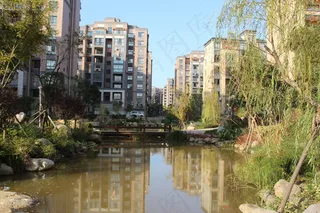 小区水景图片