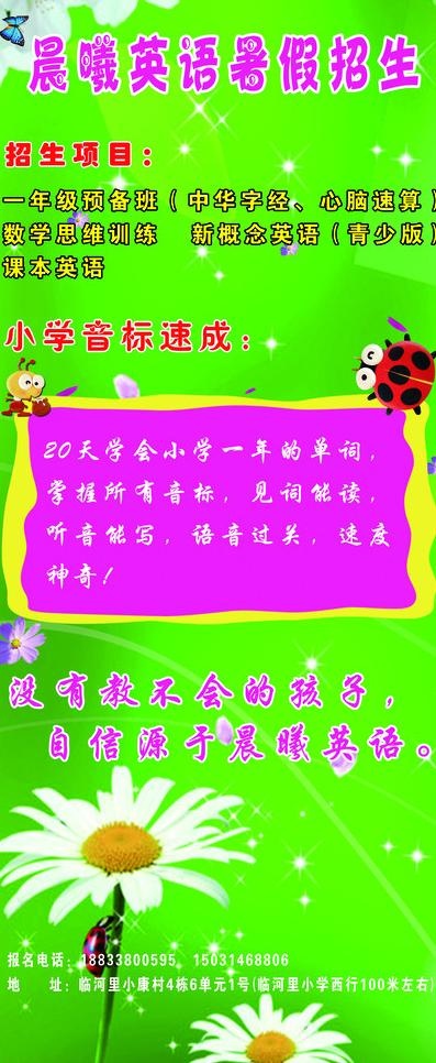 晨曦英语暑假招生（展架）图片