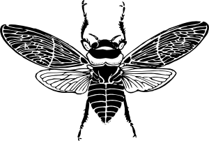 蜜蜂上视图剪贴画