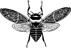 蜜蜂上视图剪贴画