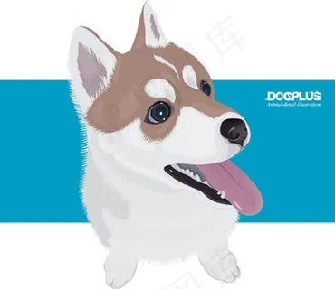 可爱的棕色阿拉斯加犬