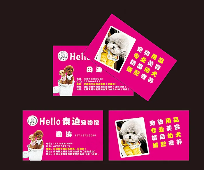 宠物店名片图片cdr矢量模版下载